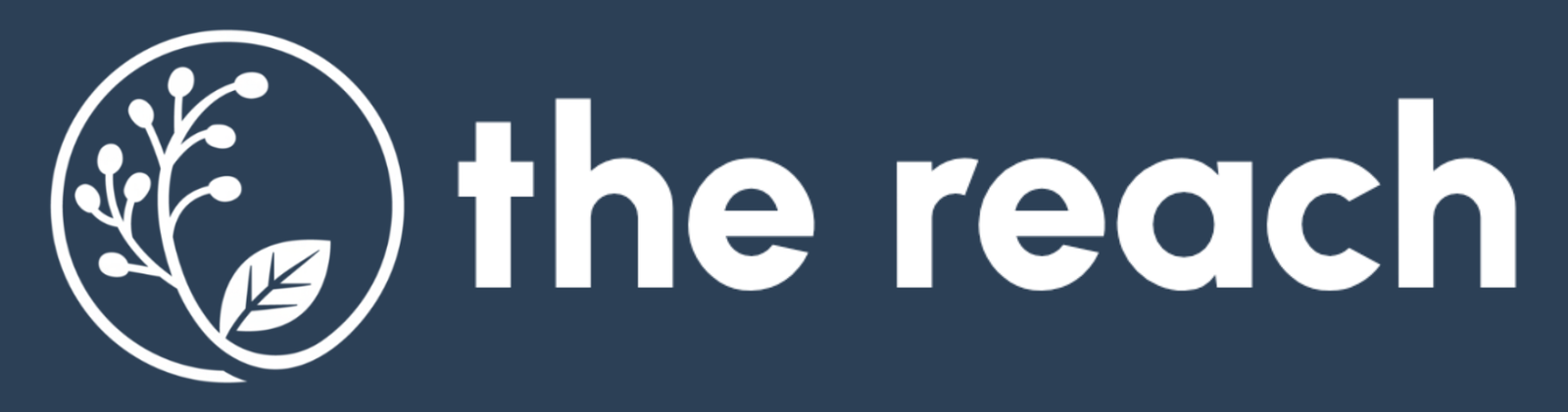 The Reach logo